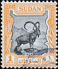Ibex on ancient stamp of Sudan