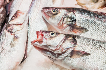 Poisson frais sur un étal, marché la Boqueria de Barcelone