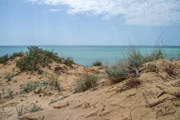 Песчаный берег Каспия