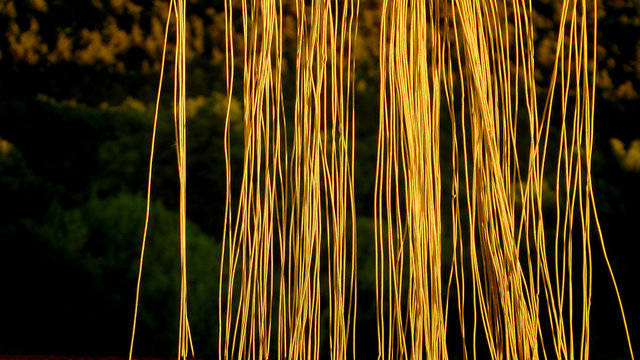 Streifen Golden Abstrakt