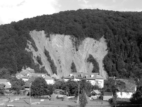 Cliff overgrown with trees in the Carpat.