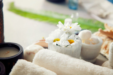 Spa products in natural setting. Fresh towels