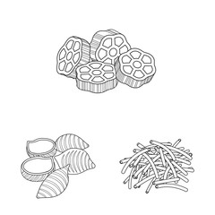 Vector illustration of pasta and carbohydrate icon. Collection of pasta and macaroni stock symbol for web.