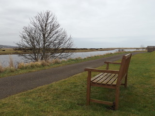 bench in the park
