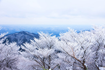 御在所ロープウェイの樹氷