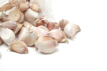 Many fresh garlic