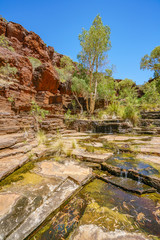 Fototapeta na wymiar hiking in dales gorge, karijini national park, western australia 33