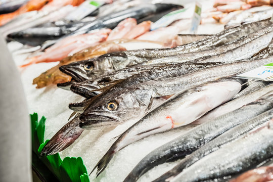 Poisson frais sur un &eacute;tal, march&eacute; la Boqueria de Barcelone