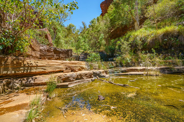 hiking in dales gorge, karijini national park, western australia 39