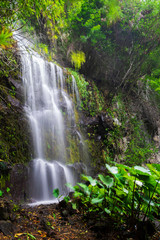 Obraz premium cascade dans la forêt