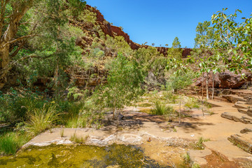 Fototapeta premium hiking in dales gorge, karijini national park, western australia 40