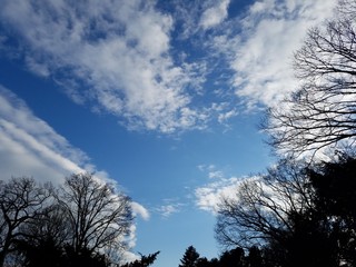 blue sky and clouds