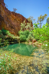 Fototapeta na wymiar circular pool in dales gorge, karijini national park, western australia 4