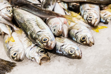 Poisson frais sur un étal, marché la Boqueria de Barcelone