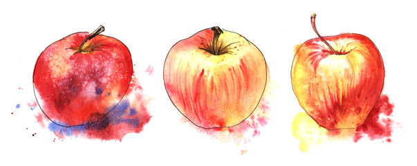 Red-yellow ripe apple. Set of three elements. Hand drawn watercolor illustration