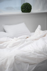 bedroom with plant, pillow and white blanket on empty bed