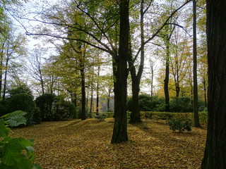 Schlosspark Lichtenwalde