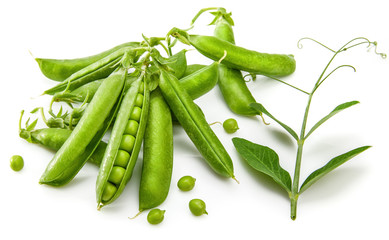 Green peas with twig leaf and pods. Vegetable still life, isolated on white background.