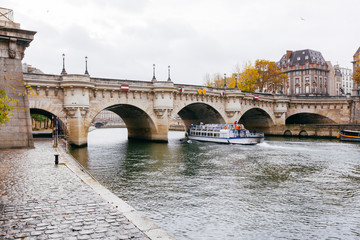 Fototapeta premium Paris (France) - Pont Neuf on the river Seine
