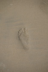footprints in the sand