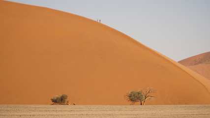 Dune 45 sand dune in Namib-Naukluft National Park at Sossusvlei, Namibia.