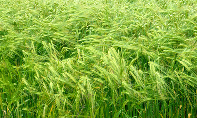 Coast and Countryside.