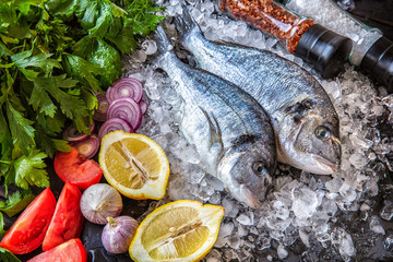 Fresh Dorado fish, with vegetables, herbs, lemon with pieces of ice on a black background