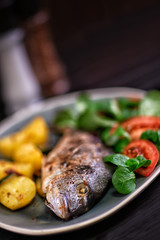 Fresh Dorado fish fried in the oven with vegetables and herbs.