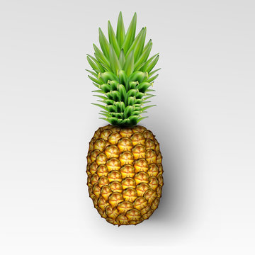 Pinaapple realistic image with transparent shadow vector illustration isolated on plaid white background