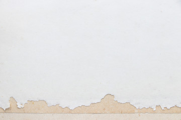 White paper with a ragged edge. The texture of the surface of the old cardboard and the blank...