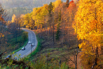 Aerial view of road with cars in beautiful autumn forest. Landscape with rural road and red, yellow and orange trees. Highway through the Gauja National park, top view. Nature background.