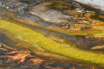 Yellowstone Texture Brown and Yellow, Yellowstone National Park and Preserve