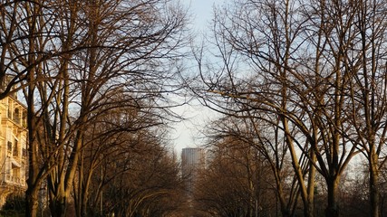 Promenade du Champ de Mars Paris