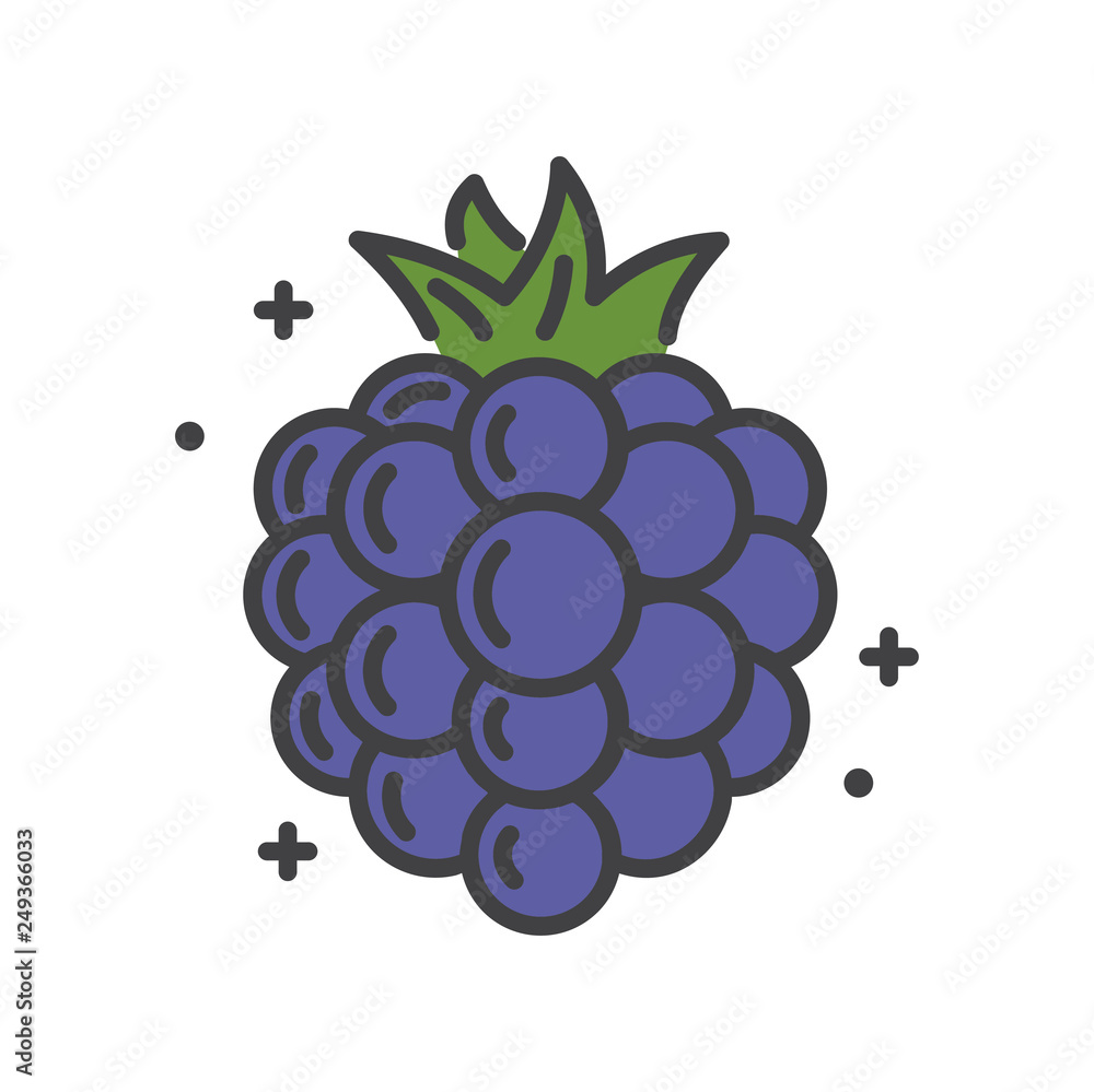 Poster blackberry line icon on white background for graphic and web design, modern simple vector sign. inte