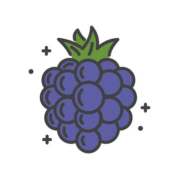 recommend clip art: Blackberry line icon on white background for graphic and web design, Modern simple vector sign. Internet concept. Trendy symbol for website design web button or mobile app