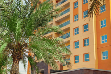 Fototapeta na wymiar Beautiful tropical palm near multi-storey hotel building