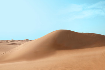 Fototapeta na wymiar Picturesque landscape of sandy desert on hot day