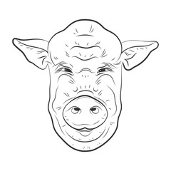 Pig vector head isolated on white background. Hog, pork, piglet, swine, boar. Farm or shop meat logo, icon, sign, emblem, symbol, stamp. Retro ink engraving style. Hand drawing illustration.