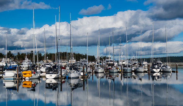 Boats moored in a harbor, Sidney, British Columbia, Canada
