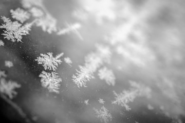 ice crystals in black and white macro