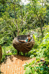 Ninho Stock Photos And Royalty Free Images Vectors And Illustrations Adobe Stock