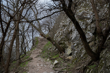 Forest rocky path leading up to the mountain in southern Moravia surrounding the abandoned castle Stony road full of trees