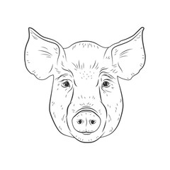 Pig vector head isolated on white background. Hog, pork, piglet, swine, boar. Farm or shop meat logo, icon, sign, emblem, symbol, stamp. Retro ink engraving style. Hand drawing illustration.