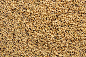 Lima beans, or lunar beans (lat. Phaseolus lunatus). White beans. Source of carbohydrates, contains little protein. Add to your diet diet, veganism. Background image, selective focus.