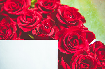 Big red roses bouquet , background of roses.