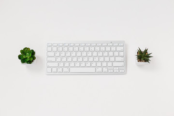 Computer keyboard and succulent flower isolated on white textured background - Powered by Adobe