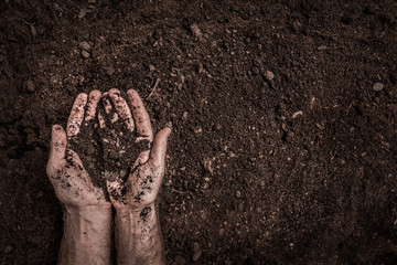 Man (farmer)  hands on soil background captured from above. - Powered by Adobe