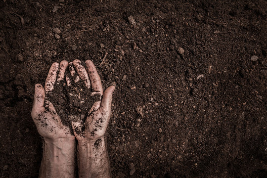 Man (farmer)  Hands On Soil Background Captured From Above.