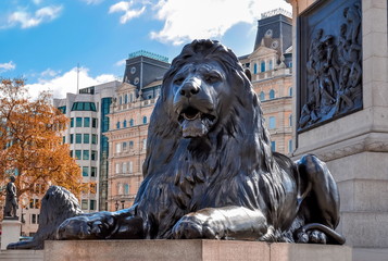 Trafalgar square lion at Nelson column, London, UK - obrazy, fototapety, plakaty