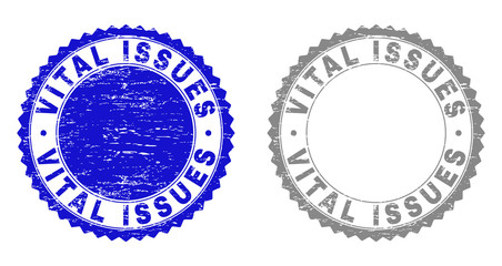 Grunge VITAL ISSUES stamp seals isolated on a white background. Rosette seals with grunge texture in blue and gray colors. Vector rubber stamp imitation of VITAL ISSUES text inside round rosette.